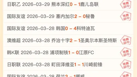 南特拼搏至终，与里昂握手言和